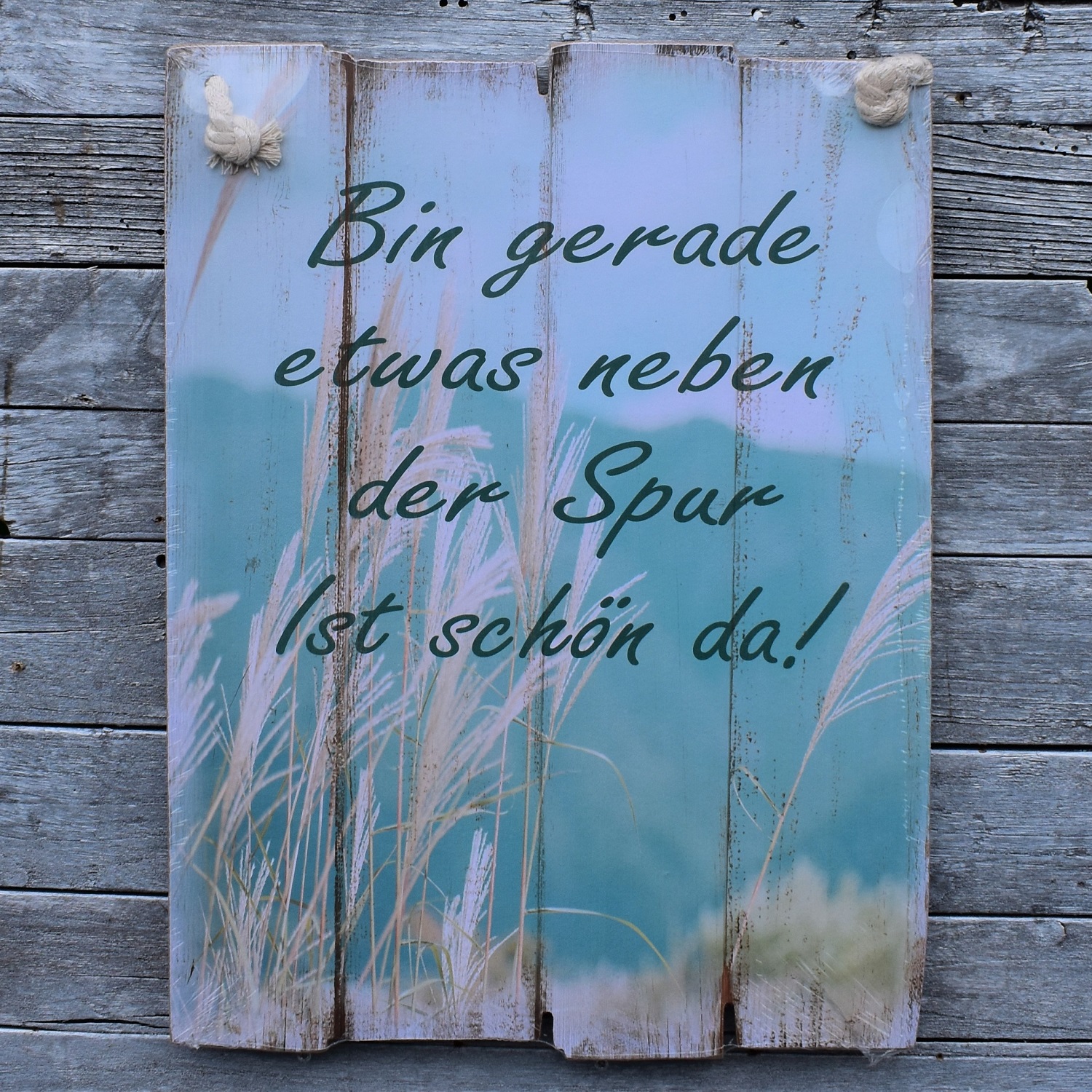 Wandbild Bin gerade etwas neben der Spur … ThoKuToys