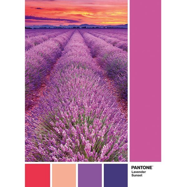 clementoni-lavender-sunset-39493_2