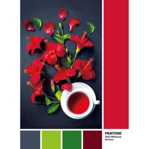 clementoni-red-hibiscus-aroma-39494_1